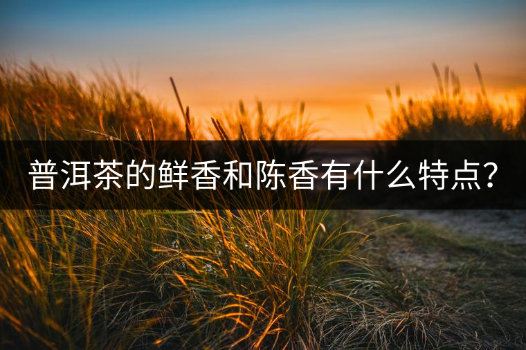 普洱茶的鮮香和陳香有什么特點(diǎn)? 普洱茶的鮮香和陳香有什么特點(diǎn)?