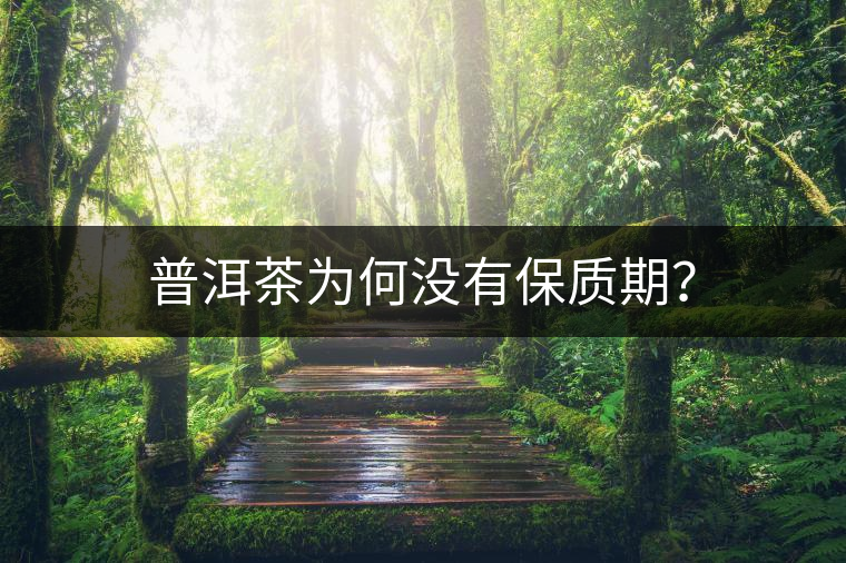 普洱茶為何沒有保質期？
