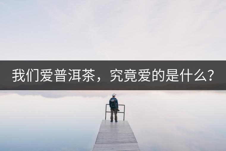 我們愛(ài)普洱茶,究竟愛(ài)的是什么? 我們愛(ài)普洱茶,究竟愛(ài)的是什么?