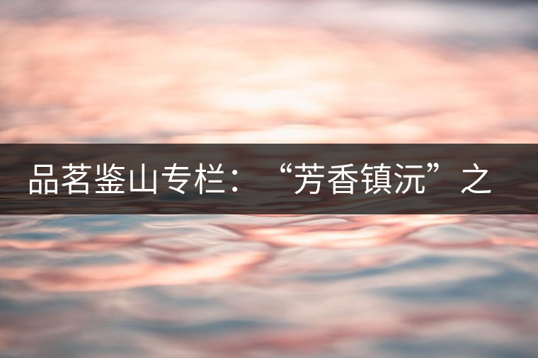 品茗鑒山專欄:“芳香鎮沅”之五一茶 品茗鑒山專欄:“芳香鎮沅”之五一茶