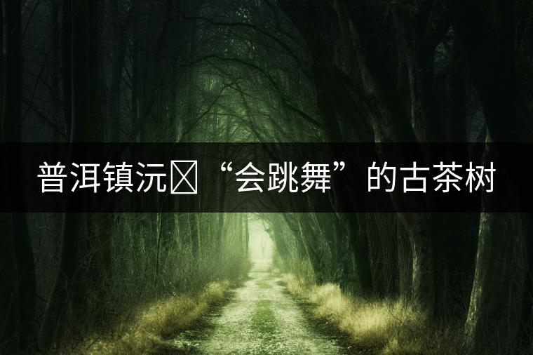 普洱鎮(zhèn)沅?“會(huì)跳舞”的古茶樹(shù) 普洱鎮(zhèn)沅?“會(huì)跳舞”的古茶樹(shù)