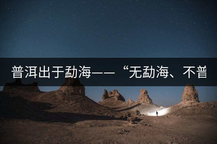 普洱出于勐海——“無勐海、不普洱”