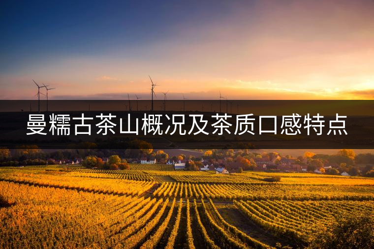 曼糯古茶山概況及茶質(zhì)口感特點(diǎn) 曼糯古茶山概況及茶質(zhì)口感特點(diǎn)