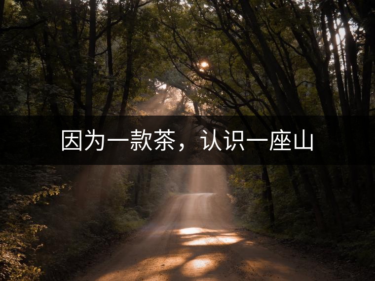 因為一款茶，認識一座山