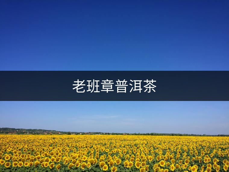 老班章普洱茶 老班章普洱茶