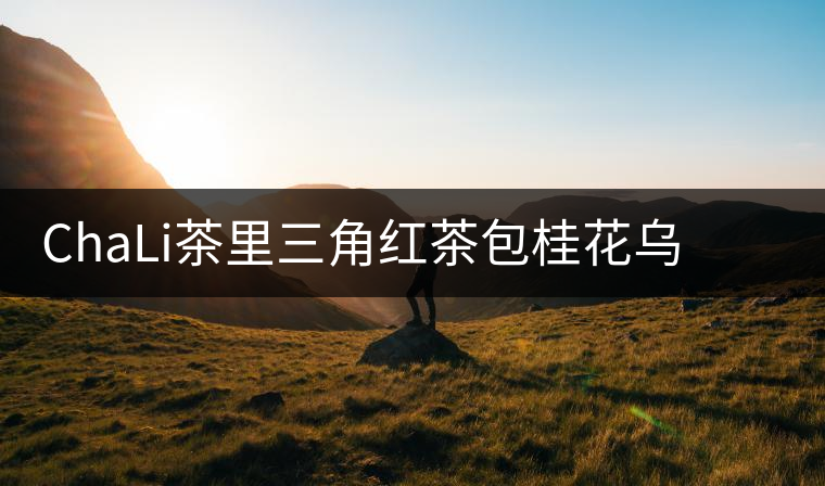 ChaLi茶里三角紅茶包桂花烏龍綠茶菊花茶普洱袋泡茶玫瑰花茶組合
