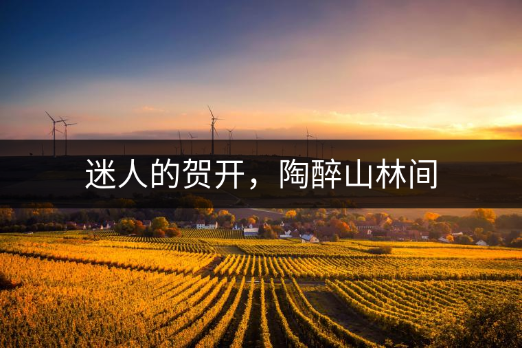 迷人的賀開,陶醉山林間 迷人的賀開,陶醉山林間