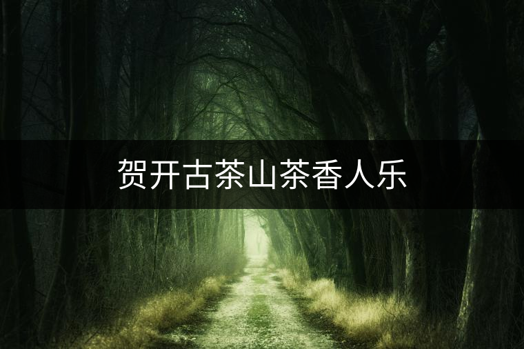 賀開古茶山茶香人樂 賀開古茶山茶香人樂