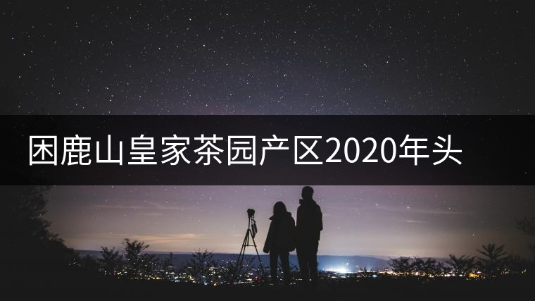 困鹿山皇家茶園產區2020年頭春古樹，白花林口感特點