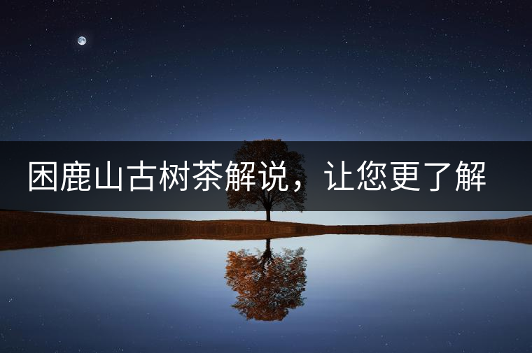 困鹿山古樹(shù)茶解說(shuō)，讓您更了解古樹(shù)貢茶