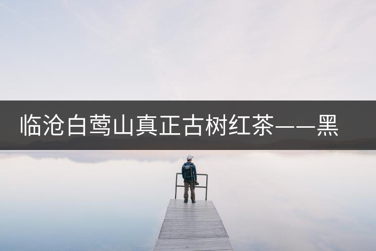 臨滄白鶯山真正古樹紅茶——黑美人 臨滄白鶯山真正古樹紅茶——黑美人