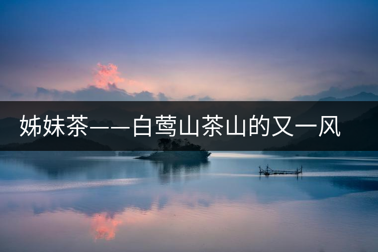 姊妹茶——白鶯山茶山的又一風(fēng)景線