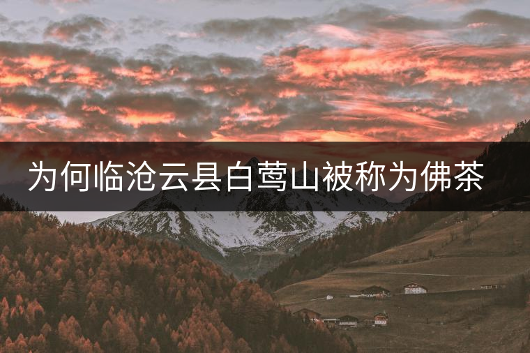 為何臨滄云縣白鶯山被稱為佛茶圣地? 為何臨滄云縣白鶯山被稱為佛茶圣地?