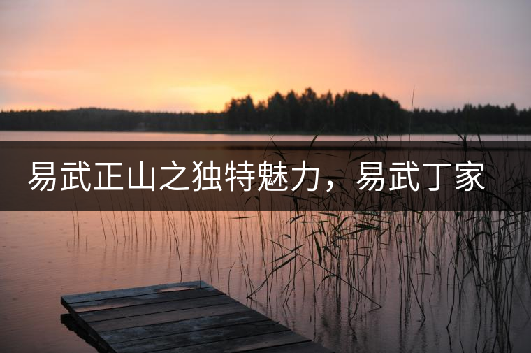 易武正山之獨特魅力,易武丁家寨介紹品鑒 易武正山之獨特魅力,易武丁家寨介紹品鑒