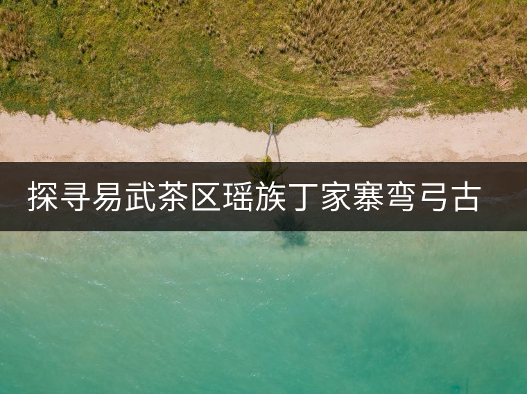 探尋易武茶區瑤族丁家寨彎弓古茶園介紹