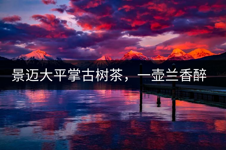 景邁大平掌古樹茶，一壺蘭香醉春秋