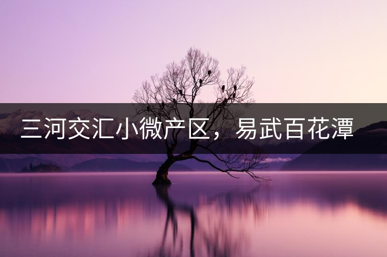 三河交匯小微產區,易武百花潭古茶園介紹 三河交匯小微產區,易武百花潭古茶園介紹