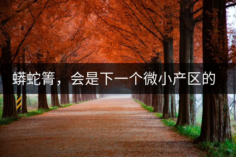 蟒蛇箐，會(huì)是下一個(gè)微小產(chǎn)區(qū)的熱門山頭嗎？