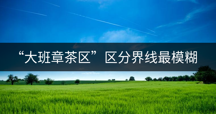 “大班章茶區”區分界線最模糊的寨子——班盆老寨 “大班章茶區”區分界線最模糊的寨子——班盆老寨