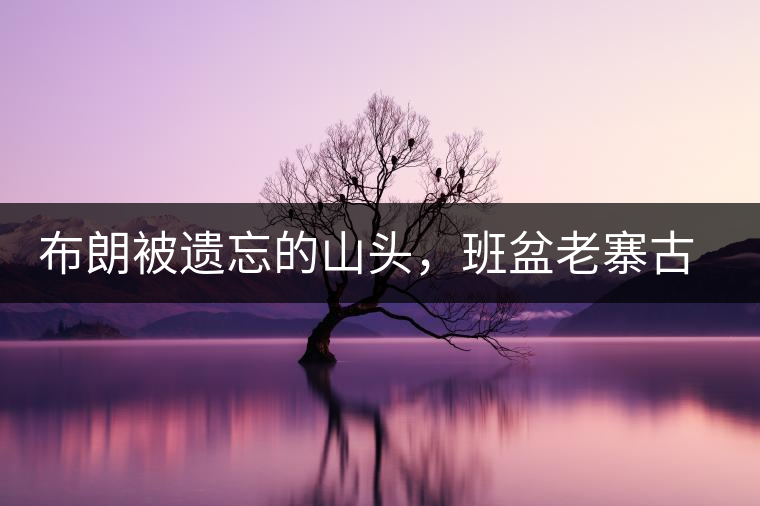 布朗被遺忘的山頭，班盆老寨古茶園介紹