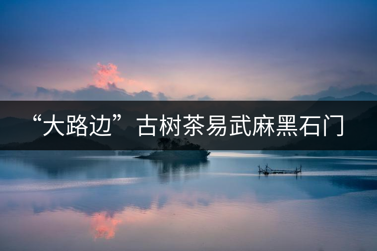 “大路邊”古樹茶易武麻黑石門坎你應該了解的山頭 “大路邊”古樹茶易武麻黑石門坎你應該了解的山頭