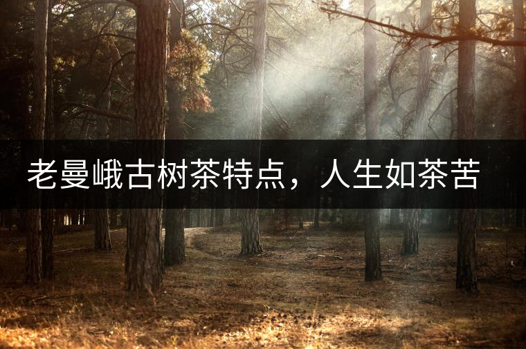 老曼峨古樹茶特點,人生如茶苦盡甘來 老曼峨古樹茶特點,人生如茶苦盡甘來