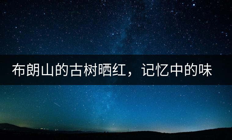 布朗山的古樹曬紅，記憶中的味道