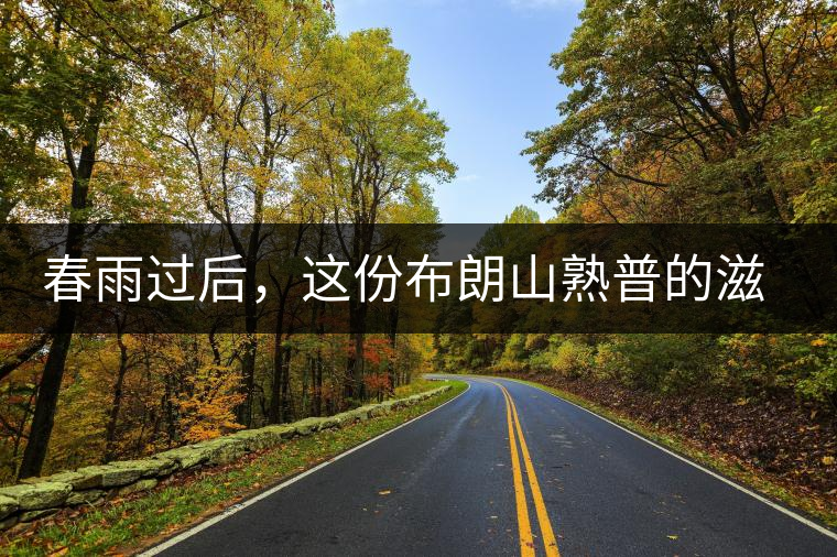 春雨過后,這份布朗山熟普的滋味正當(dāng)時(shí) 春雨過后,這份布朗山熟普的滋味正當(dāng)時(shí)