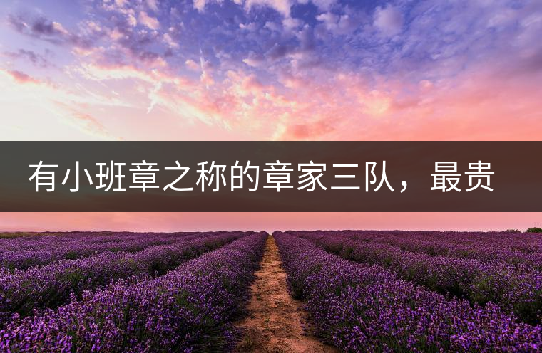 有小班章之稱的章家三隊,最貴的小樹茶 有小班章之稱的章家三隊,最貴的小樹茶