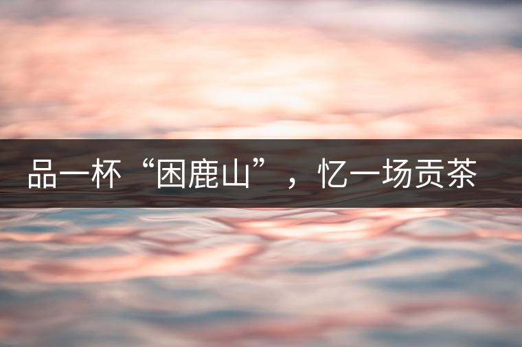 品一杯“困鹿山”,憶一場貢茶情 品一杯“困鹿山”,憶一場貢茶情