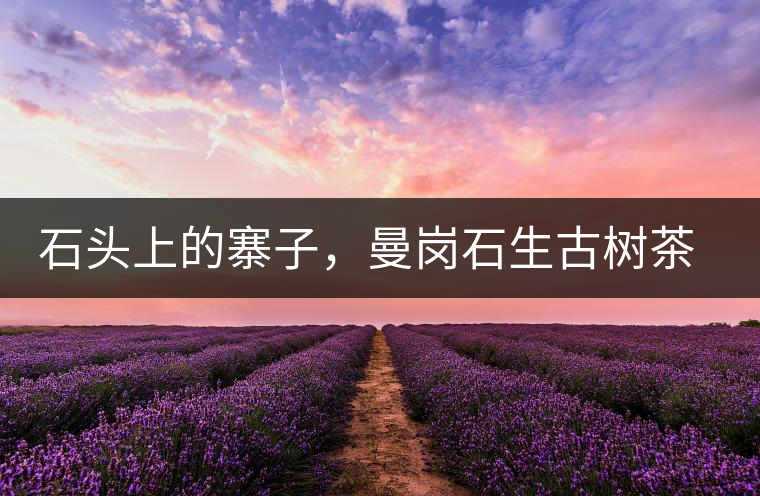 石頭上的寨子,曼崗石生古樹(shù)茶特點(diǎn)介紹 石頭上的寨子,曼崗石生古樹(shù)茶特點(diǎn)介紹