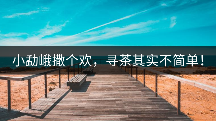 小勐峨撒個歡,尋茶其實不簡單! 小勐峨撒個歡,尋茶其實不簡單!