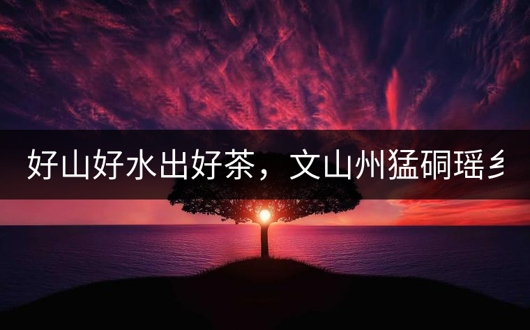 好山好水出好茶，文山州猛硐瑤鄉(xiāng)茶！