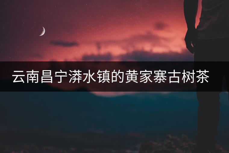 云南昌寧漭水鎮的黃家寨古樹茶特點介紹