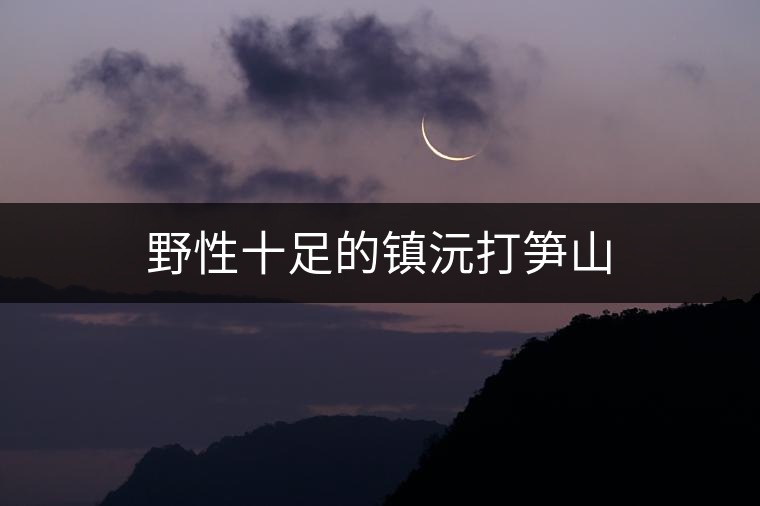 野性十足的鎮沅打筍山 野性十足的鎮沅打筍山