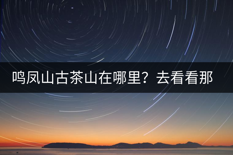 鳴鳳山古茶山在哪里？去看看那鳳凰曾經(jīng)落腳的地方