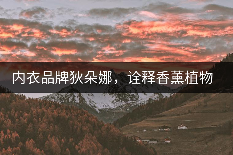 內衣品牌狄朵娜,詮釋香薰植物精油內衣新潮流! 內衣品牌狄朵娜,詮釋香薰植物精油內衣新潮流!