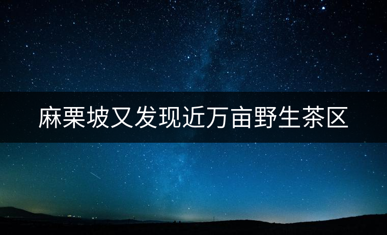 麻栗坡又發現近萬畝野生茶區