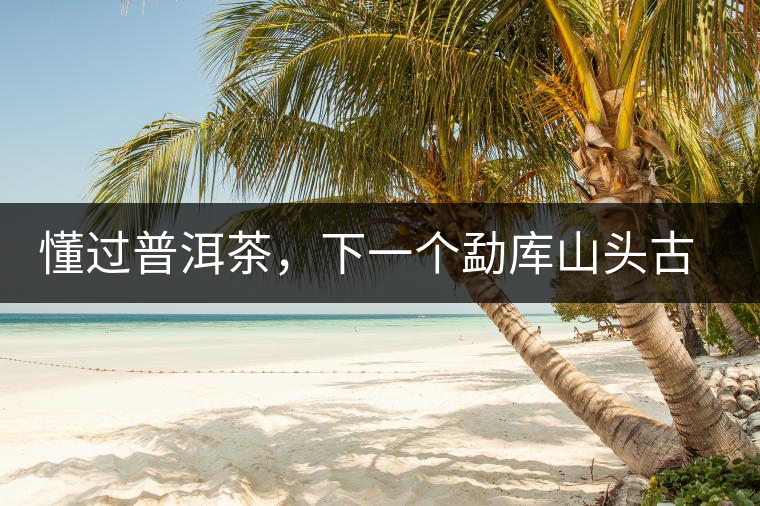 懂過普洱茶,下一個勐庫山頭古純的引爆點 懂過普洱茶,下一個勐庫山頭古純的引爆點