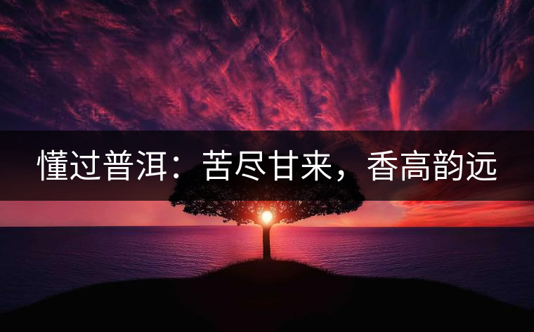 懂過普洱:苦盡甘來,香高韻遠 懂過普洱:苦盡甘來,香高韻遠