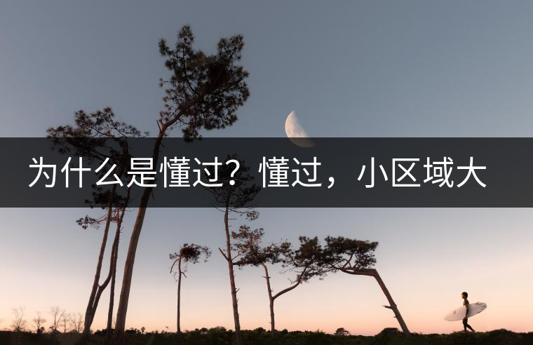 為什么是懂過？懂過，小區域大智慧