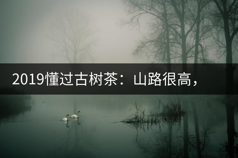 2019懂過(guò)古樹(shù)茶：山路很高，可仍然有執(zhí)著走向深山的人