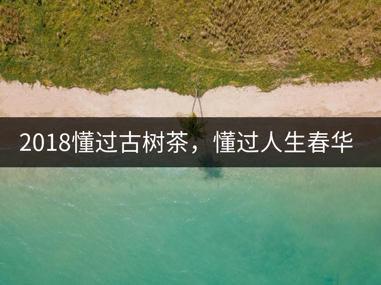 2018懂過古樹茶,懂過人生春華秋實! 2018懂過古樹茶,懂過人生春華秋實!