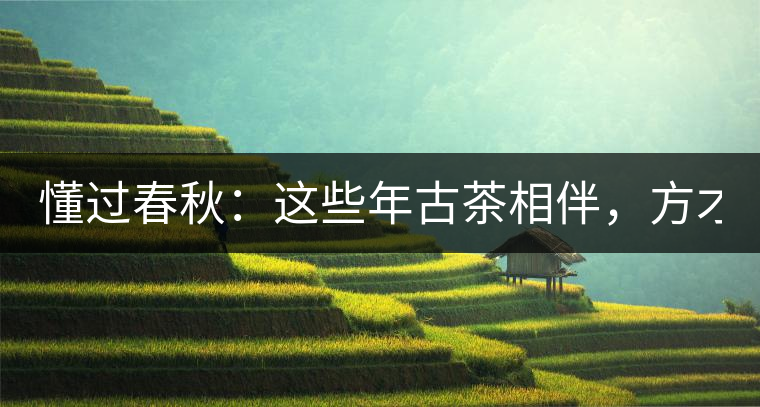 懂過春秋：這些年古茶相伴，方才懂過！