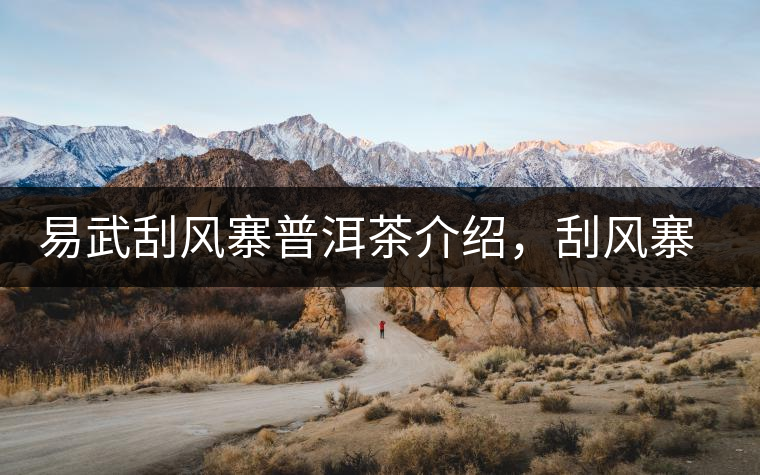 易武刮風寨普洱茶介紹，刮風寨古樹茶口感特點