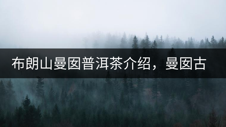 布朗山曼囡普洱茶介紹,曼囡古樹茶口感特點(diǎn) 布朗山曼囡普洱茶介紹,曼囡古樹茶口感特點(diǎn)