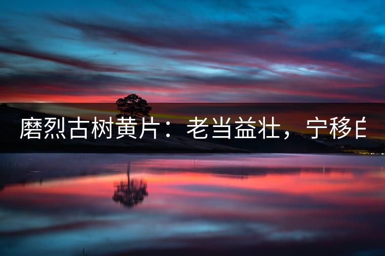 磨烈古樹黃片:老當益壯,寧移白首之心! 磨烈古樹黃片:老當益壯,寧移白首之心!