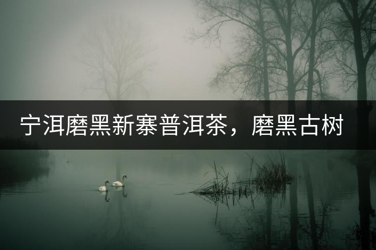 寧洱磨黑新寨普洱茶,磨黑古樹茶口感特點 寧洱磨黑新寨普洱茶,磨黑古樹茶口感特點