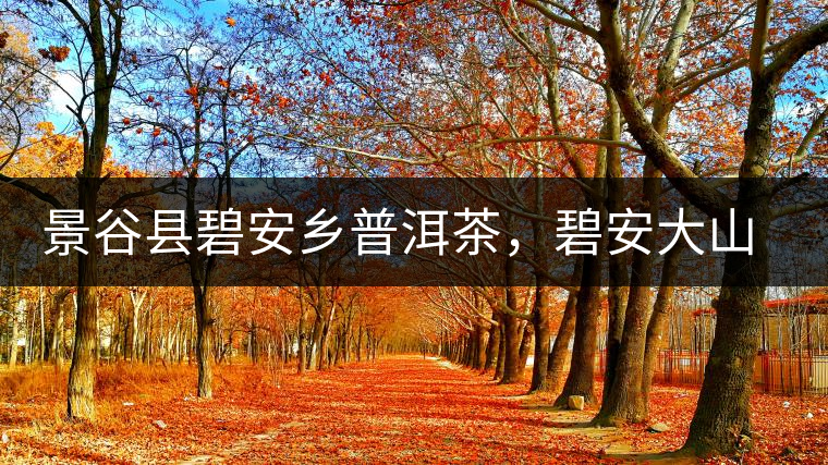 景谷縣碧安鄉普洱茶,碧安大山古樹茶口感特點 景谷縣碧安鄉普洱茶,碧安大山古樹茶口感特點