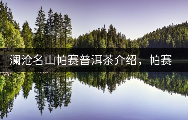 瀾滄名山帕賽普洱茶介紹，帕賽古樹茶口感特點